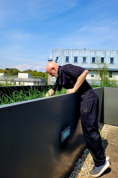Chartwells Herb and Vegetable Patch on the roof of Fusion Building