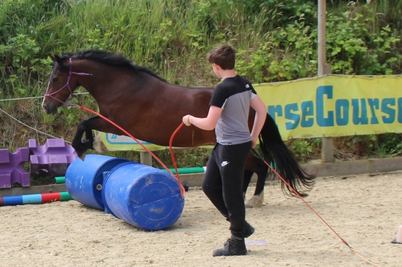 A horse jumping over two barrels, a boy holds a long rein which is attached to the horse