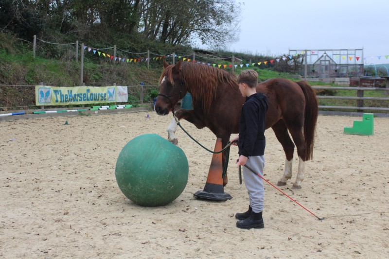 A horse pushing a ball with one of his hooves. A young child is holding a long rein attached to the horse.