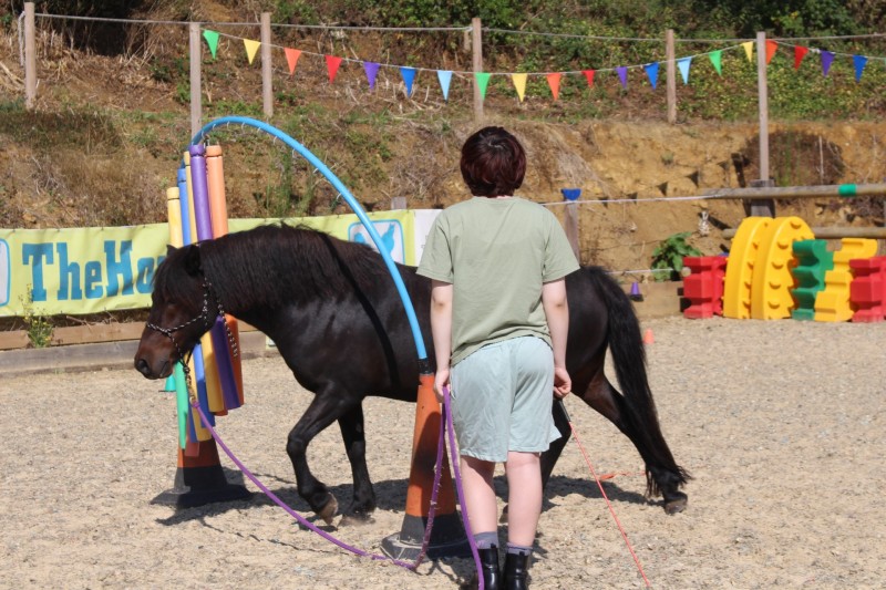 A horse walking under a large hoop under the guidance of a young child