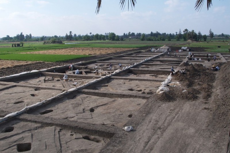 Archaeology dig at Hyksos palace