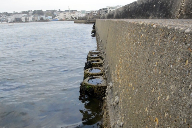 Four concrete rock pools attached to a harbour wall
