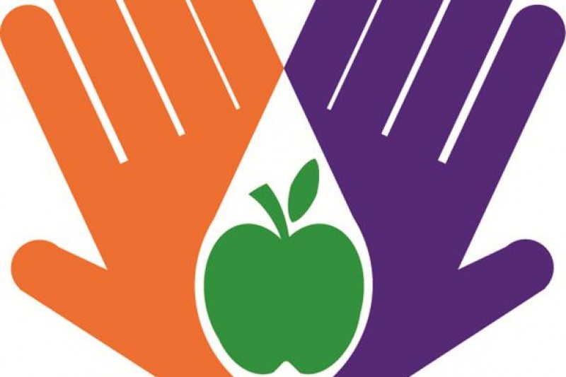 Nutrition and Dementia project logo 