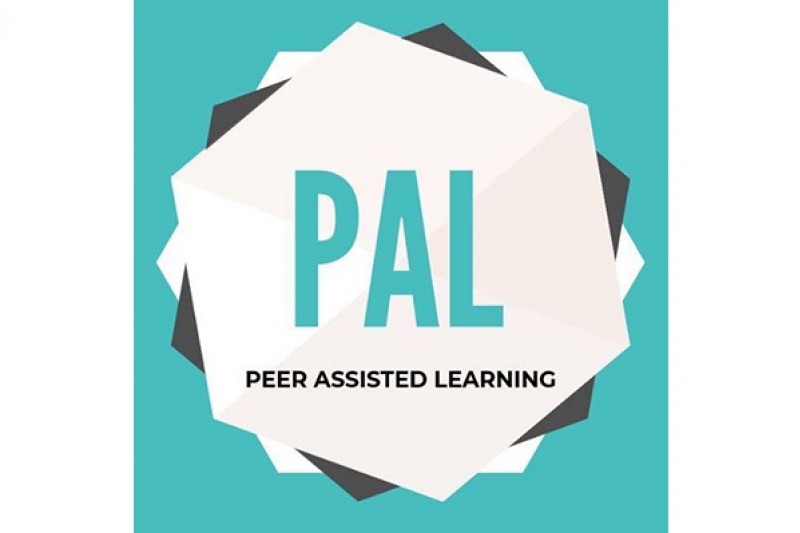 PAL logo PAL logo