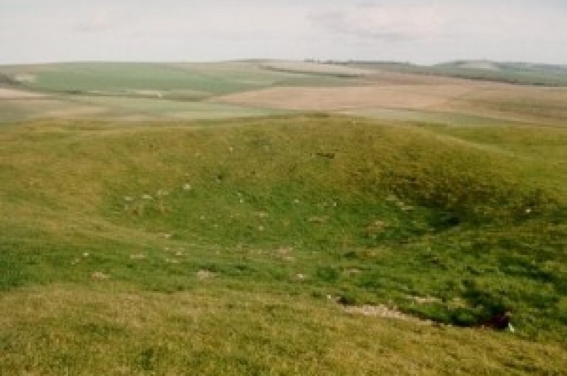 Harrow Hill: a Neolithic flint mine today