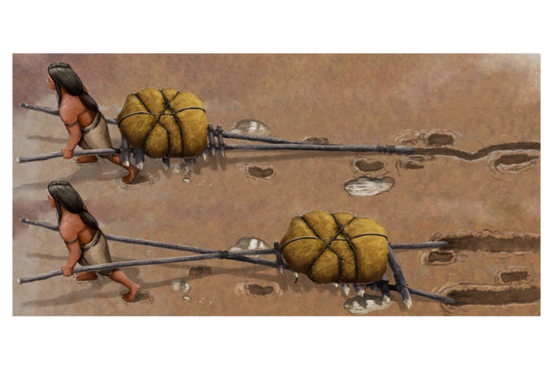 animated picture showing two people each pulling a travois - one consists of two poles tied together at one end, the other is two poles crossed in the middle. Both Travois have items strapped to them, footprints and drag-marks are shown behind them