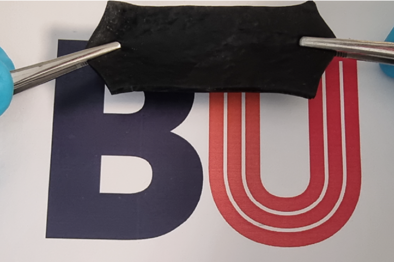 A strip of black plastic with two clips attached each end. 