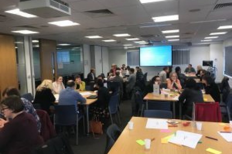 Frailty and Dementia Steamlab 2018 Frailty and Dementia Steamlab 2018
