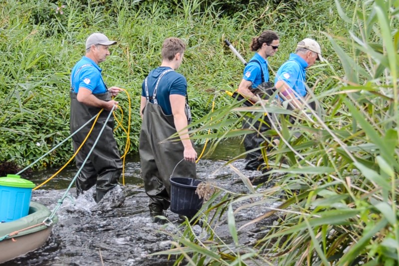 Salmon tagging students Salmon tagging students