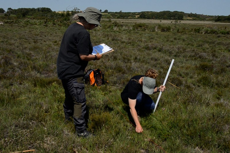 Two students surveying cattle tracks, lots of open heathland in the background
