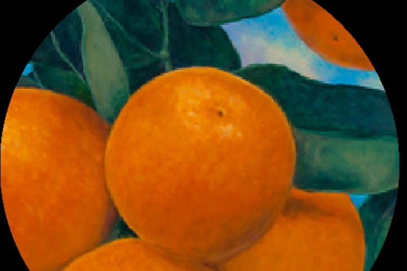 Oranges A painting of four oranges close together with green leaves and blue sky in the background