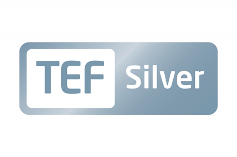 TEF Silver logo