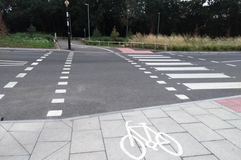 Tiger crossing Gillett Road