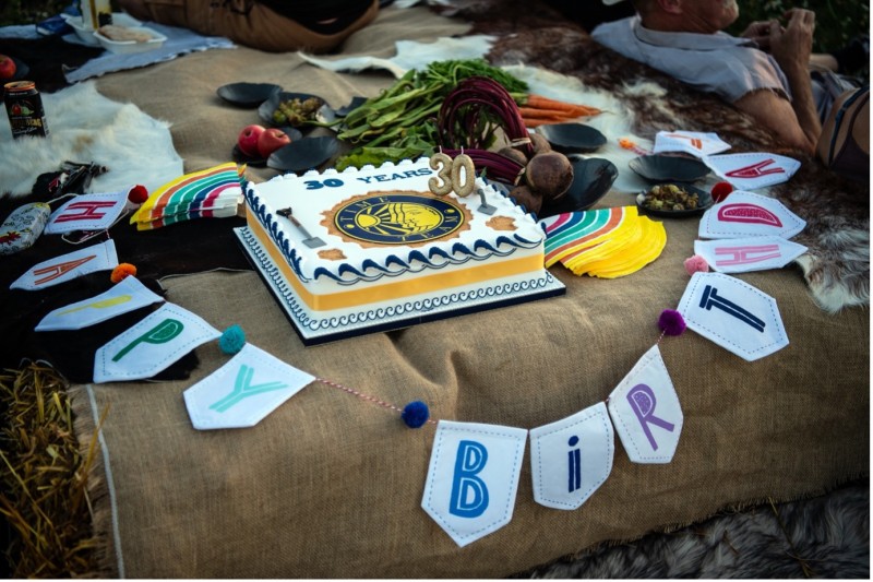 Birthday cake celebrating Time Team's 30th birthday