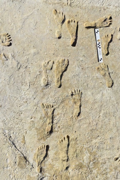 Earliest footprints White Sands 1