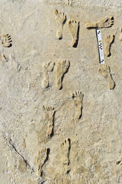 Earliest footprints White Sands 1