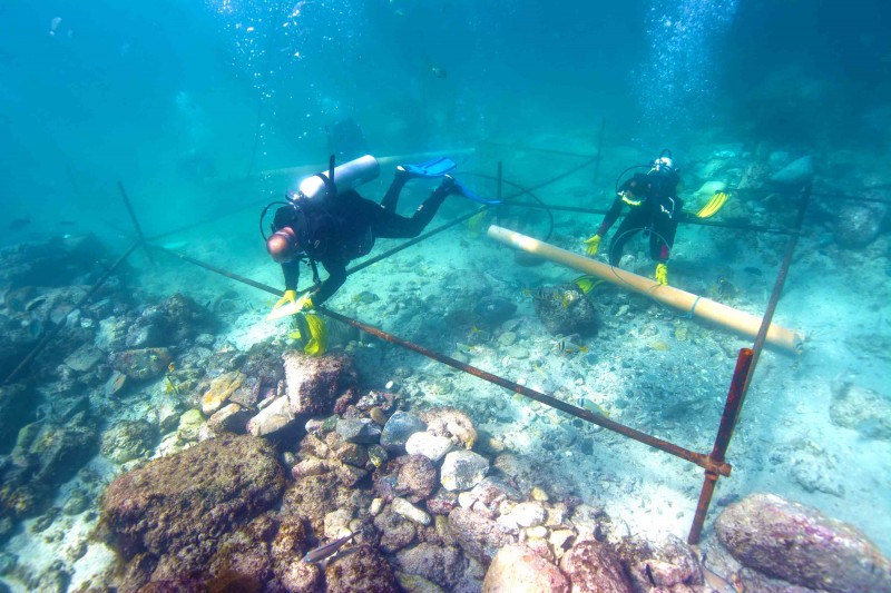 Esmeralda shipwreck excavation web