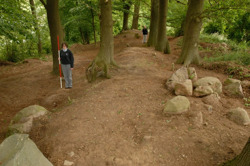 View of Friedichsruhe 7 after clearance of the mound prior to excavation. Looking north with the long mound in the foreground and the northern round mound beyond. [Photograph by Timothy Darvill] 