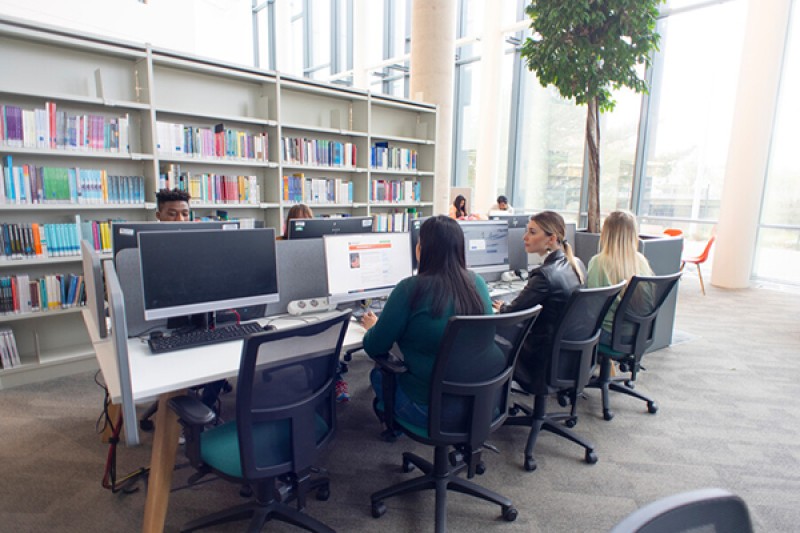 Students using pcs in Weston Library