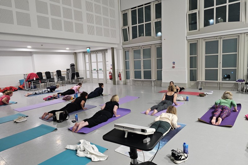 Attendees took part in yoga exercises as part of the Take a Meno-pause event Attendees took part in yoga exercises as part of the Take a Meno-pause event