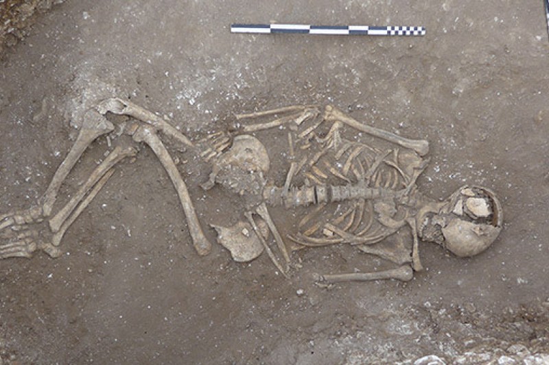 Image of skeletal remains Skeletal remains