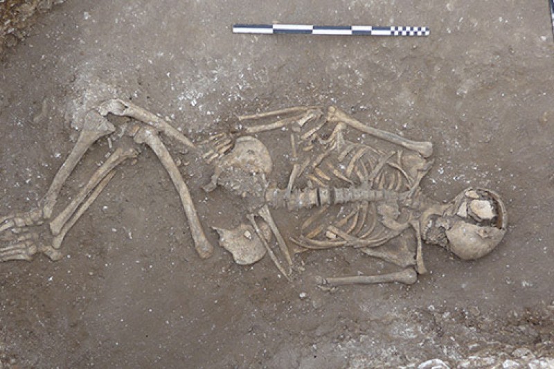 Skeletal remains