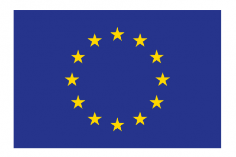 The European Union flag