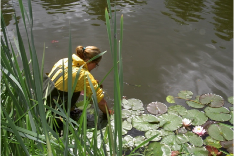 researching at a pond