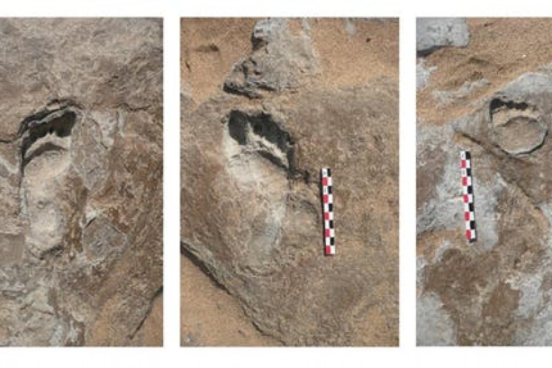 Namibian footprints. Matthew Bennett, Author provided