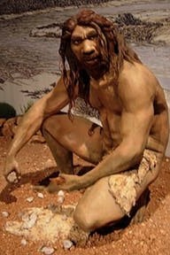 Reconstruction of Homo Heidelbergensis Reconstruction of Homo Heidelbergensis