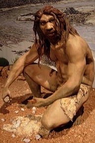 Reconstruction of Homo Heidelbergensis