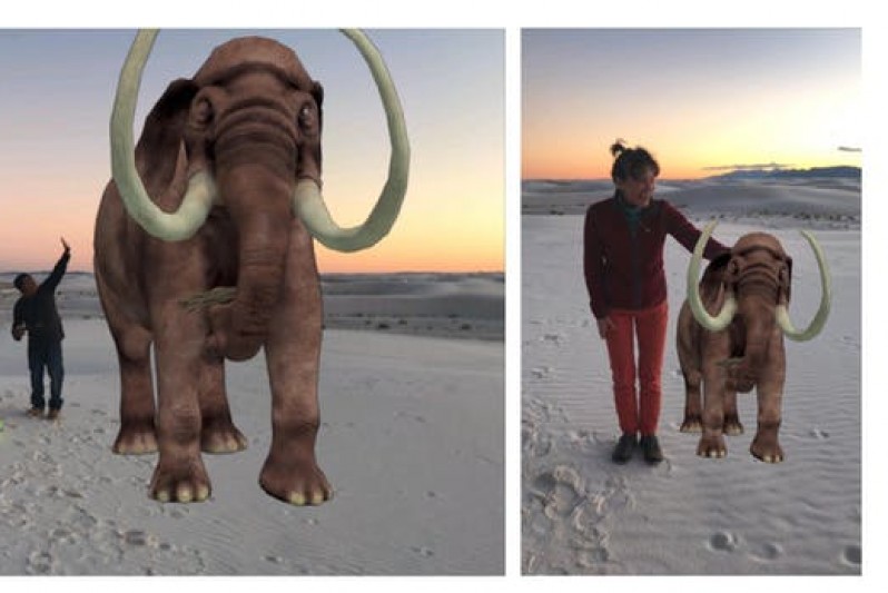 Mammoth selfies. Matthew Bennett, Author provided Mammoth selfies. Matthew Bennett, Author provided
