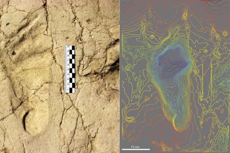 Footprint from 700,000 years ago