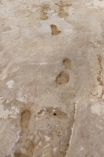 Earliest footprints White Sands 3