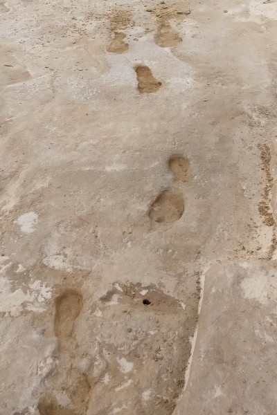 Earliest footprints White Sands 3 Earliest footprints White Sands 3