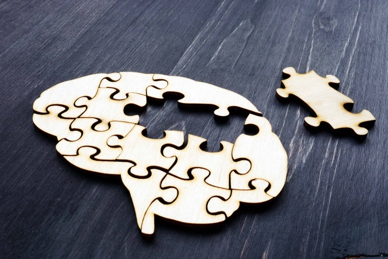 Wooden puzzle pieces in the shape of a brain