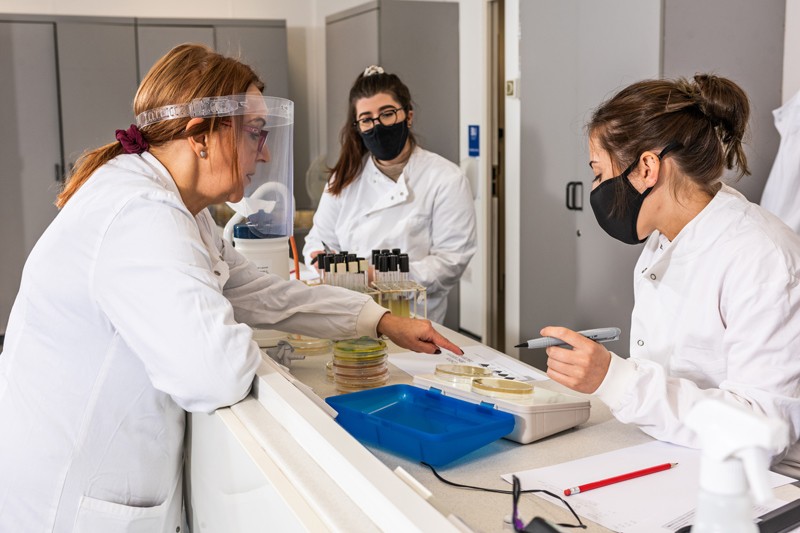 An academic and students working in a lab on Talbot Campus