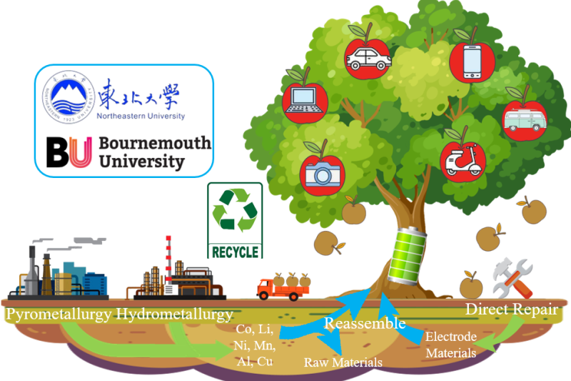 A diagram of a tree and the ground showing the process of recycling batteries