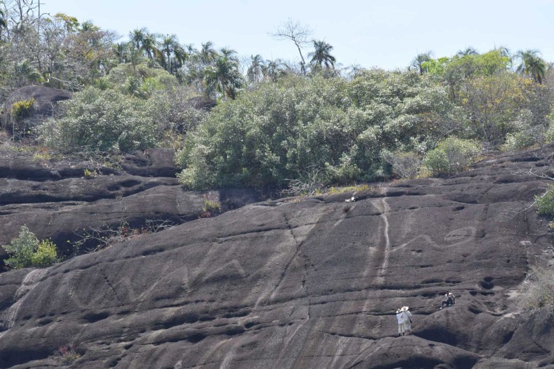 A giant snake carved into a cliff-face A giant snake carved into a cliff-face