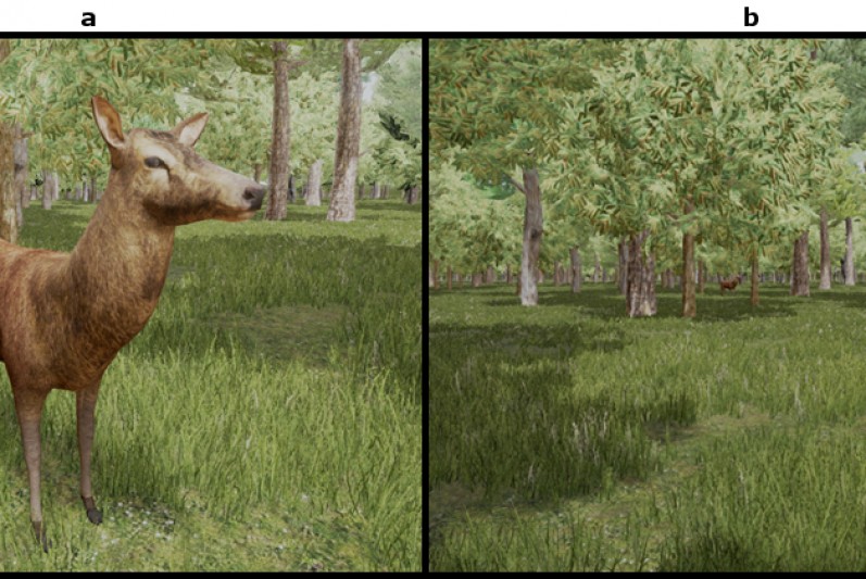 Virtual prehistoric environment