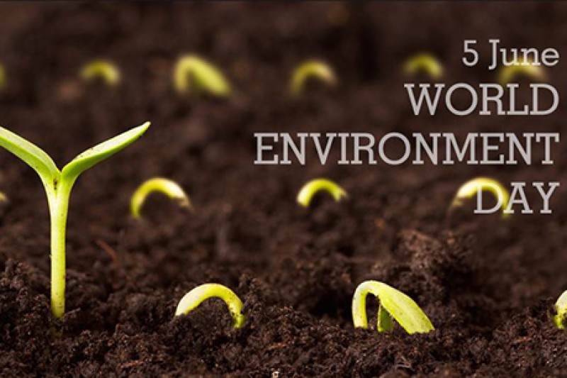 World environment day - 5 June