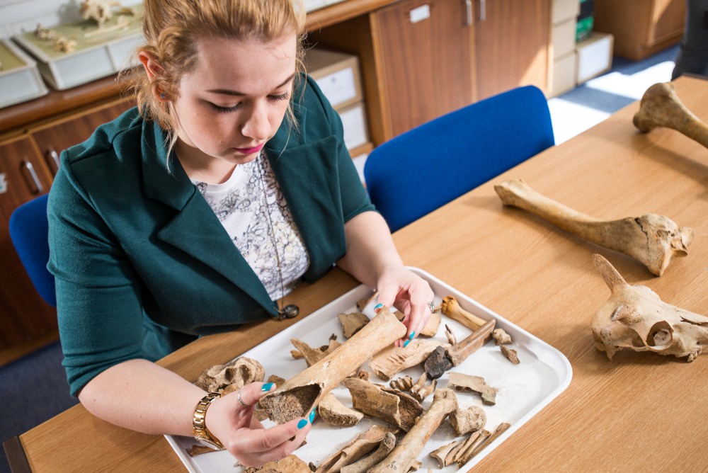 Zooarchaeology Laboratory Bournemouth University